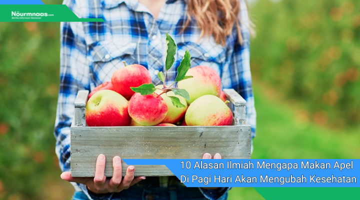 10 Alasan Ilmiah Mengapa Makan Apel Di Pagi Hari Akan Mengubah Kesehatan Anda