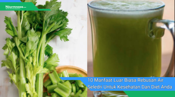 10 Manfaat Luar Biasa Rebusan Air Seledri Untuk Kesehatan Dan Diet Anda 1