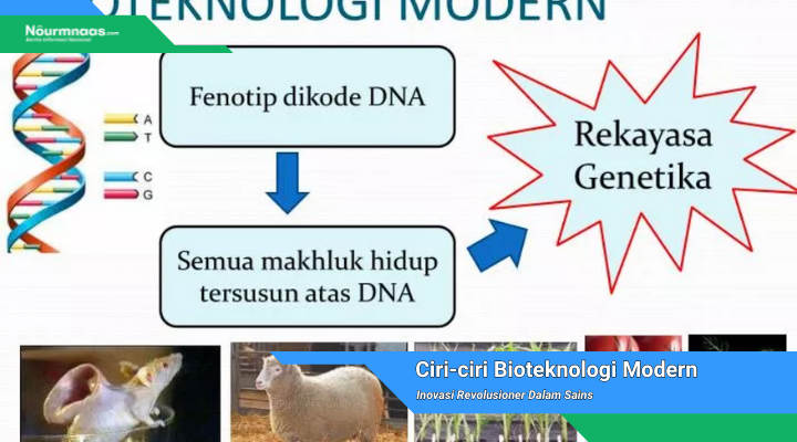 Bioteknologi Modern