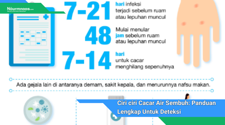 Ciri ciri Cacar Air Sembuh Panduan Lengkap Untuk Deteksi Dan Pencegahan