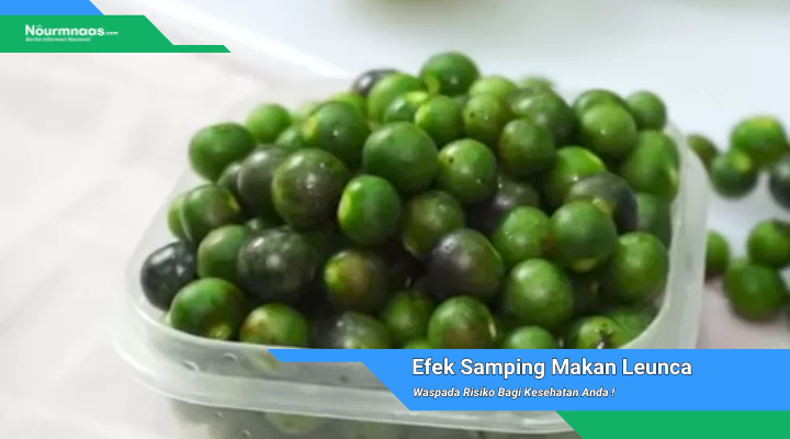 Efek Samping Makan Leunca