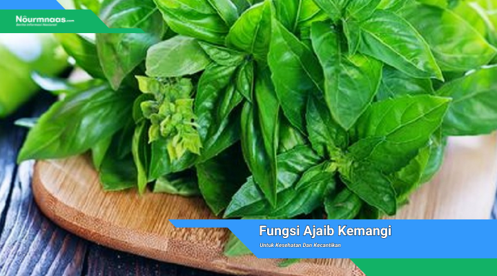 Fungsi Ajaib Kemangi Untuk Kesehatan Dan Kecantikan