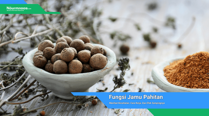 Fungsi Jamu Pahitan Manfaat Kesehatan, Cara Kerja, Dan Efek Sampingnya
