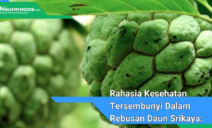 Rahasia Kesehatan Tersembunyi Dalam Rebusan Daun Srikaya: Manfaat Luar Biasa Yang Jarang Diketahui