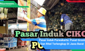 Pasar Induk Purwakarta: Pusat Grosir Dan Ritel Terlengkap Di Jawa Barat Pasar Induk Purwakarta: Pusat Grosir Dan Ritel Terlengkap Di Jawa Barat