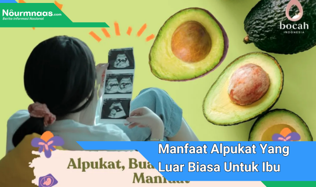 Manfaat Alpukat yang Luar Biasa untuk Ibu Hamil: Panduan Menyeluruh
