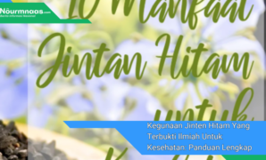 Kegunaan Jinten Hitam Yang Terbukti Ilmiah Untuk Kesehatan: Panduan Lengkap