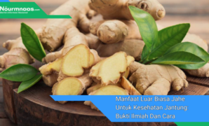 Gambar Andalan - 2024-12-14T132835.843 Manfaat Luar Biasa Jahe Untuk Kesehatan Jantung: Bukti Ilmiah Dan Cara Konsumsi