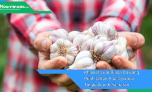 Gambar Andalan - 2024-12-14T134713.837 Khasiat Luar Biasa Bawang Putih Untuk Pria Dewasa: Tingkatkan Kesehatan Dan Kebugaran
