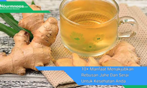 10+ Manfaat Menakjubkan Rebusan Jahe Dan Serai Untuk Kesehatan Anda