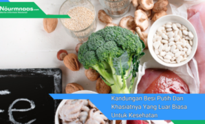 Kandungan Besi Putih Dan Khasiatnya Yang Luar Biasa Untuk Kesehatan Kandungan Besi Putih Dan Khasiatnya Yang Luar Biasa Untuk Kesehatan