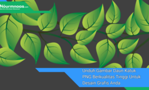 Unduh Gambar Daun Katuk PNG Berkualitas Tinggi Untuk Desain Grafis Anda