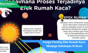 Fungsi Penting Efek Rumah Kaca: Menjaga Kehidupan Di Bumi Fungsi Penting Efek Rumah Kaca: Menjaga Kehidupan Di Bumi