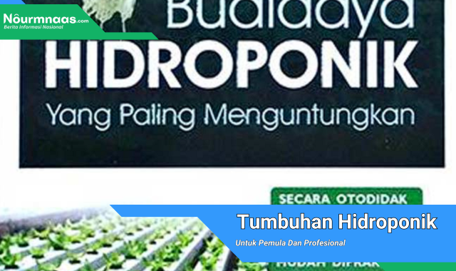 Tumbuhan Hidroponik