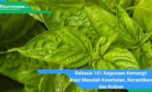 Rahasia 101 Kegunaan Kemangi: Atasi Masalah Kesehatan, Kecantikan, dan Kuliner Rahasia 101 Kegunaan Kemangi: Atasi Masalah Kesehatan, Kecantikan, dan Kuliner