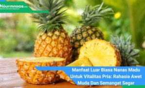 Manfaat Luar Biasa Nanas Madu Untuk Vitalitas Pria: Rahasia Awet Muda Dan Semangat Segar Manfaat Luar Biasa Nanas Madu Untuk Vitalitas Pria: Rahasia Awet Muda Dan Semangat Segar