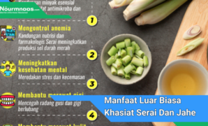 Manfaat Luar Biasa Khasiat Serai Dan Jahe Untuk Kesehatan: Panduan Lengkap