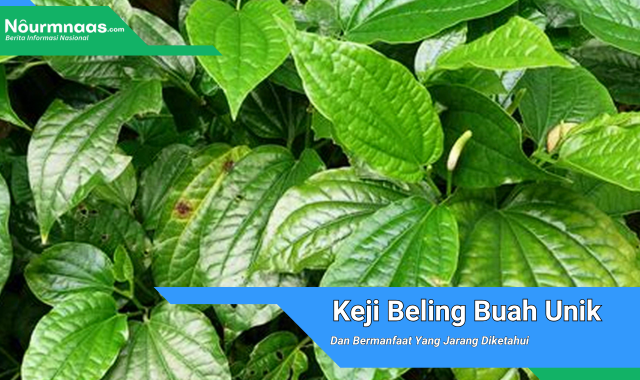 Keji Beling Buah Unik