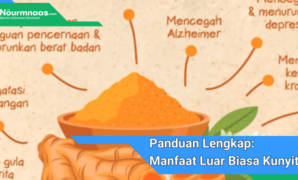 Panduan Lengkap: Manfaat Luar Biasa Kunyit Hitam Bagi Kesehatan Dan Karier Panduan Lengkap: Manfaat Luar Biasa Kunyit Hitam Bagi Kesehatan Dan Karier