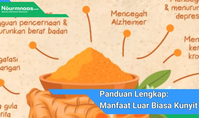Panduan Lengkap: Manfaat Luar Biasa Kunyit Hitam Bagi Kesehatan Dan Karier