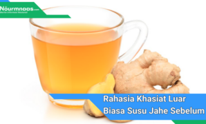 Gambar Andalan (46) Rahasia Khasiat Luar Biasa Susu Jahe Sebelum Tidur: Manfaat Yang Tak Terduga