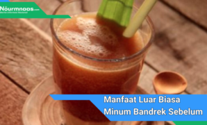 https://www.nourmnaas.com/panduan-lengkap-10-manfaat-luar-biasa-godokan-daun-sirsak-untuk-kesehatan/