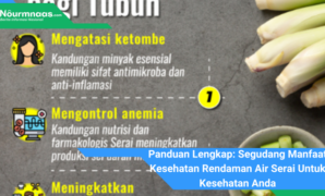 Panduan Lengkap: Segudang Manfaat Kesehatan Rendaman Air Serai Untuk Kesehatan Anda Panduan Lengkap: Segudang Manfaat Kesehatan Rendaman Air Serai Untuk Kesehatan Anda