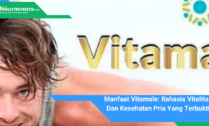 Manfaat Vitamale: Rahasia Vitalitas Dan Kesehatan Pria Yang Terbukti Manfaat Vitamale: Rahasia Vitalitas Dan Kesehatan Pria Yang Terbukti