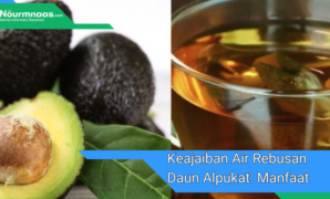 Keajaiban Air Rebusan Daun Alpukat: Manfaat Kesehatan Yang Tersembunyi