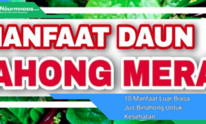 10 Manfaat Luar Biasa Jus Binahong Untuk Kesehatan: Rahasia Kesehatan Tradisional Yang Terungkap 10 Manfaat Luar Biasa Jus Binahong Untuk Kesehatan: Rahasia Kesehatan Tradisional Yang Terungkap