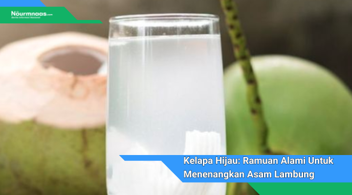 Kelapa Hijau Ramuan Alami Untuk Menenangkan Asam Lambung