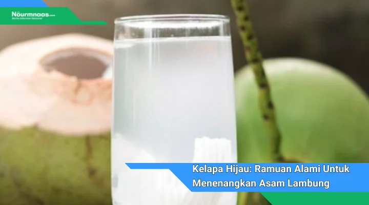 Kelapa Hijau Ramuan Alami Untuk Menenangkan Asam Lambung