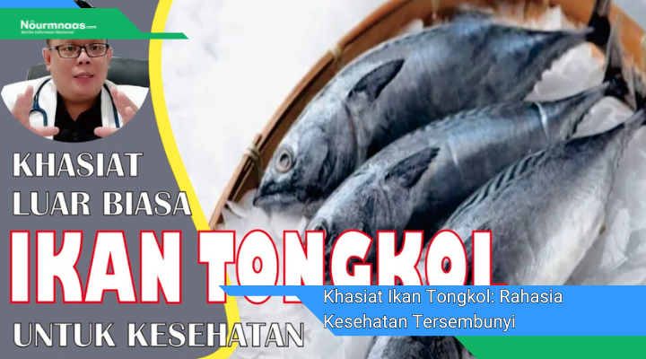 Khasiat Ikan Tongkol Rahasia Kesehatan Tersembunyi Dalam Kekayaan Laut