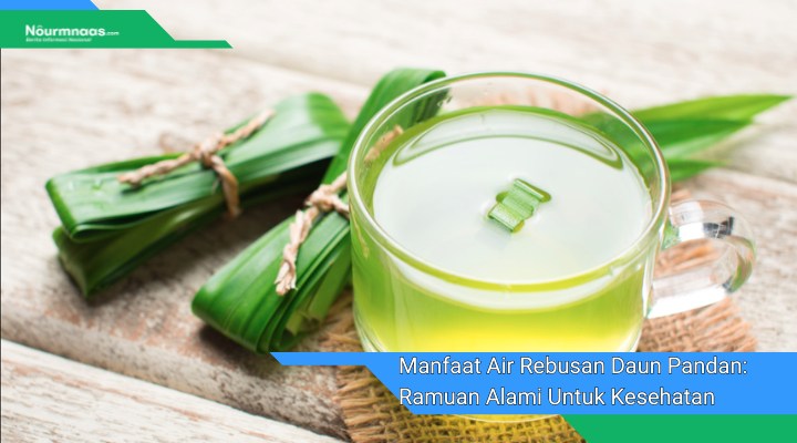 Manfaat Air Rebusan Daun Pandan Ramuan Alami Untuk Kesehatan Dan Kecantikan