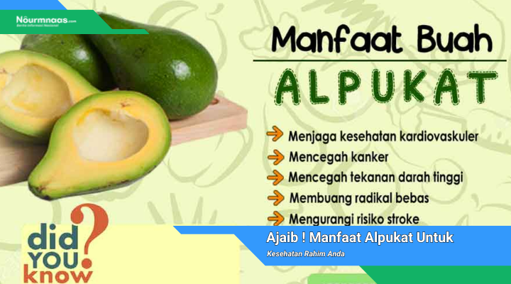 Manfaat Alpukat