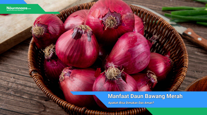 Manfaat Daun Bawang Merah
