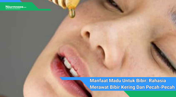 Manfaat Madu Untuk Bibir Rahasia Merawat Bibir Kering Dan Pecah Pecah