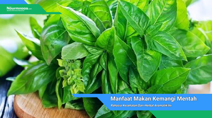 Manfaat Makan Kemangi Mentah
