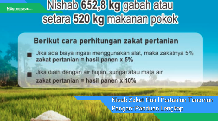 Nisab Zakat Hasil Pertanian Tanaman Pangan Panduan Lengkap