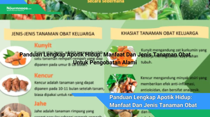 Panduan Lengkap Apotik Hidup Manfaat Dan Jenis Tanaman Obat Untuk Pengobatan Alami