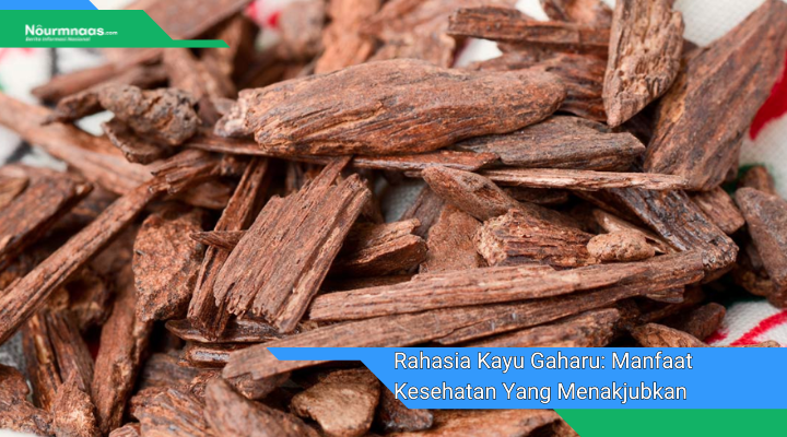 Rahasia Kayu Gaharu Manfaat Kesehatan Yang Menakjubkan Dan Kegunaannya Yang Beragam
