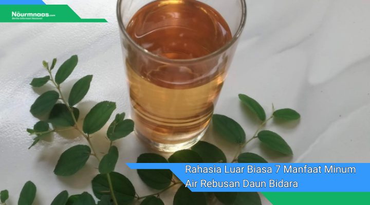 Rahasia Luar Biasa 7 Manfaat Minum Air Rebusan Daun Bidara Untuk Kesehatan