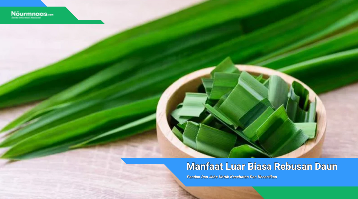 Rebusan Daun Pandan